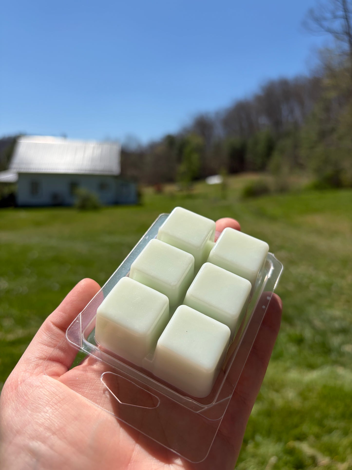 Bar Wax Melts