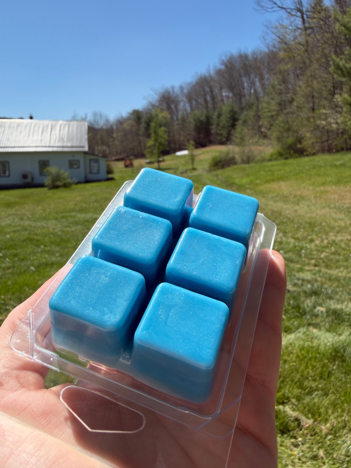 Bar Wax Melts
