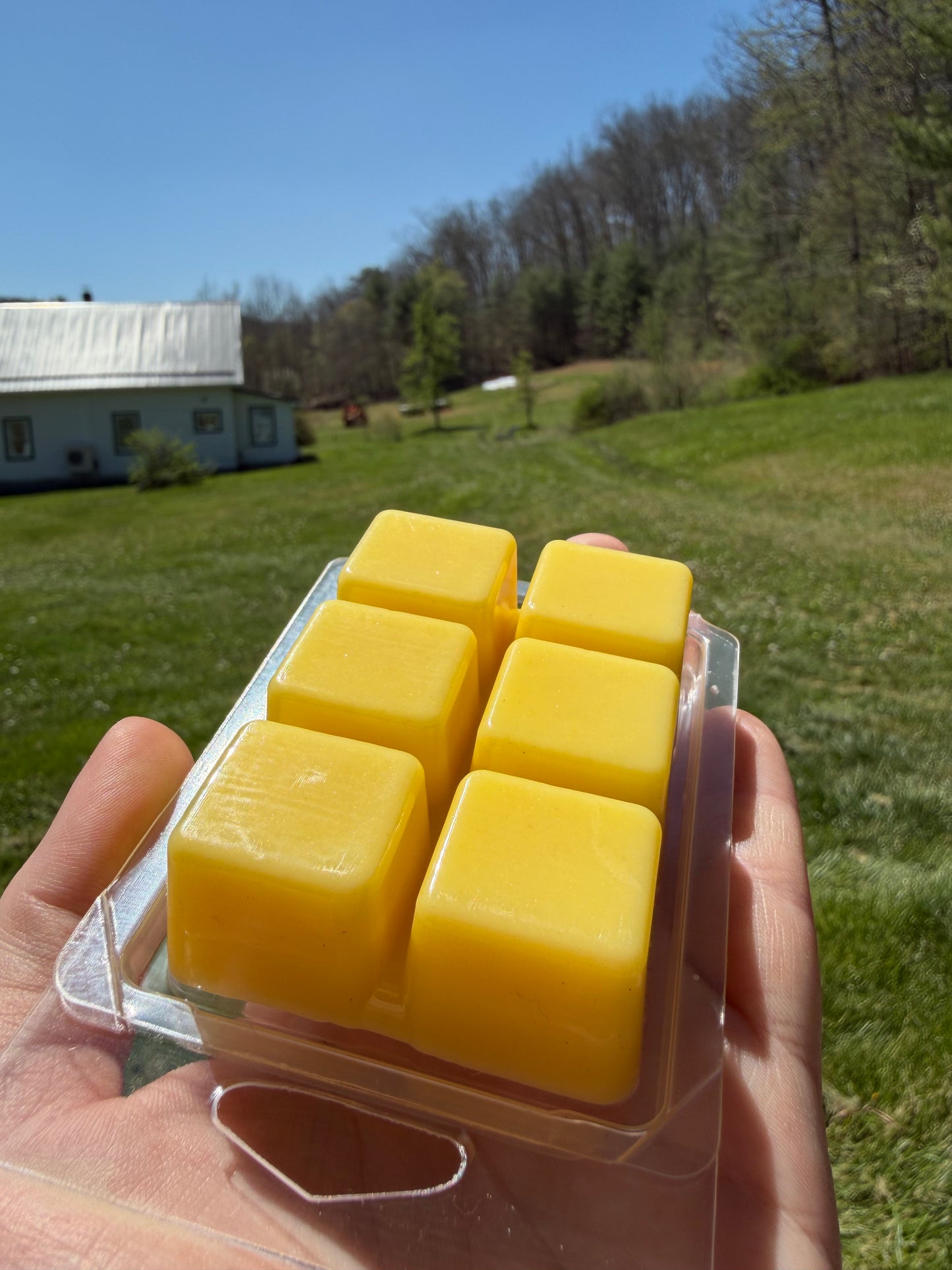 Bar Wax Melts