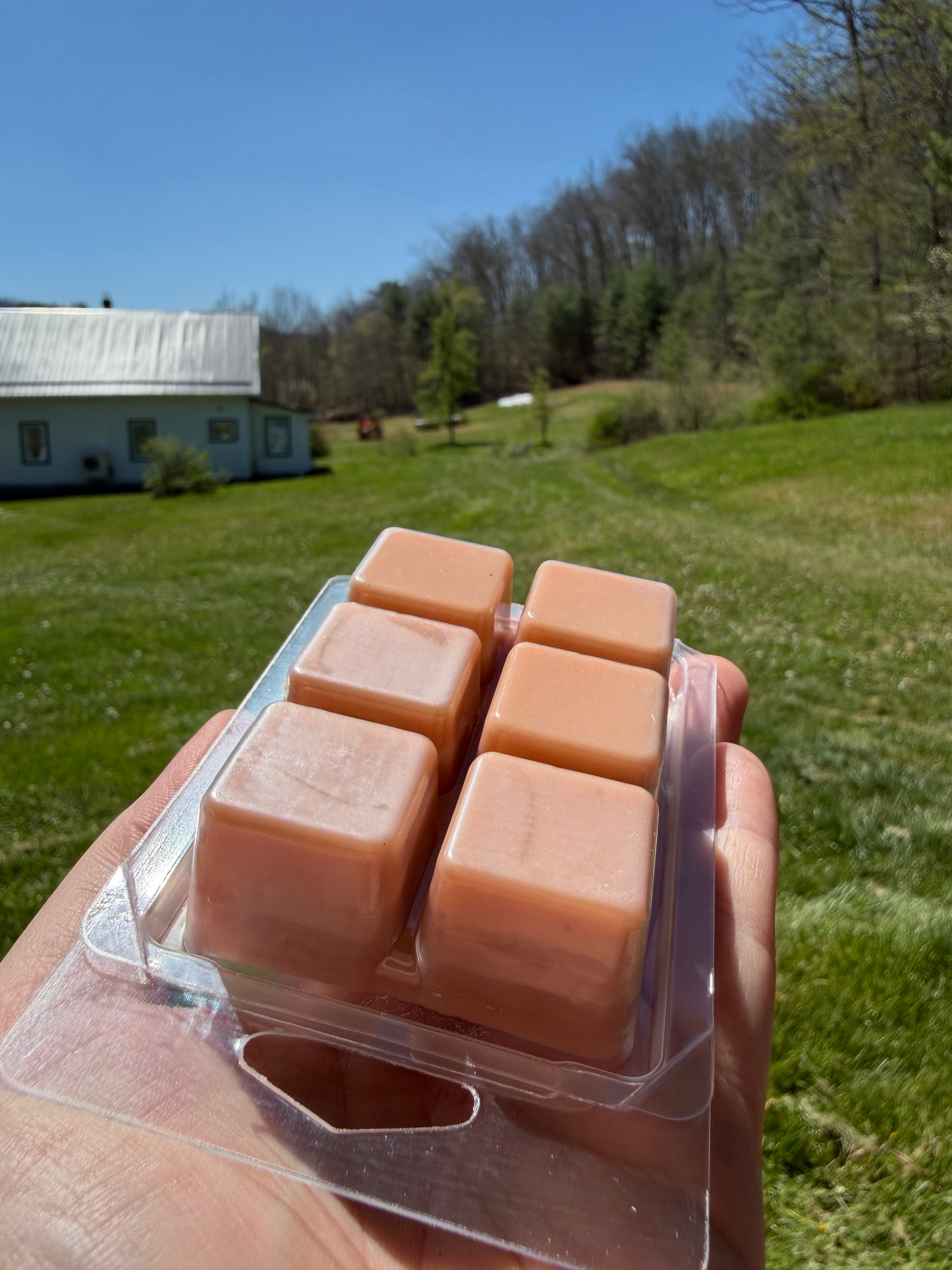 Bar Wax Melts
