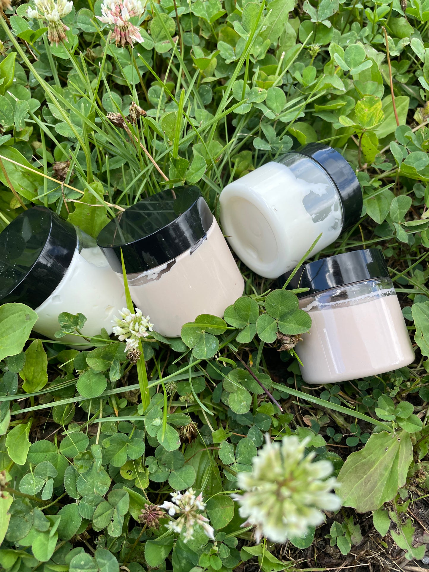 Facial Sampler Boxes