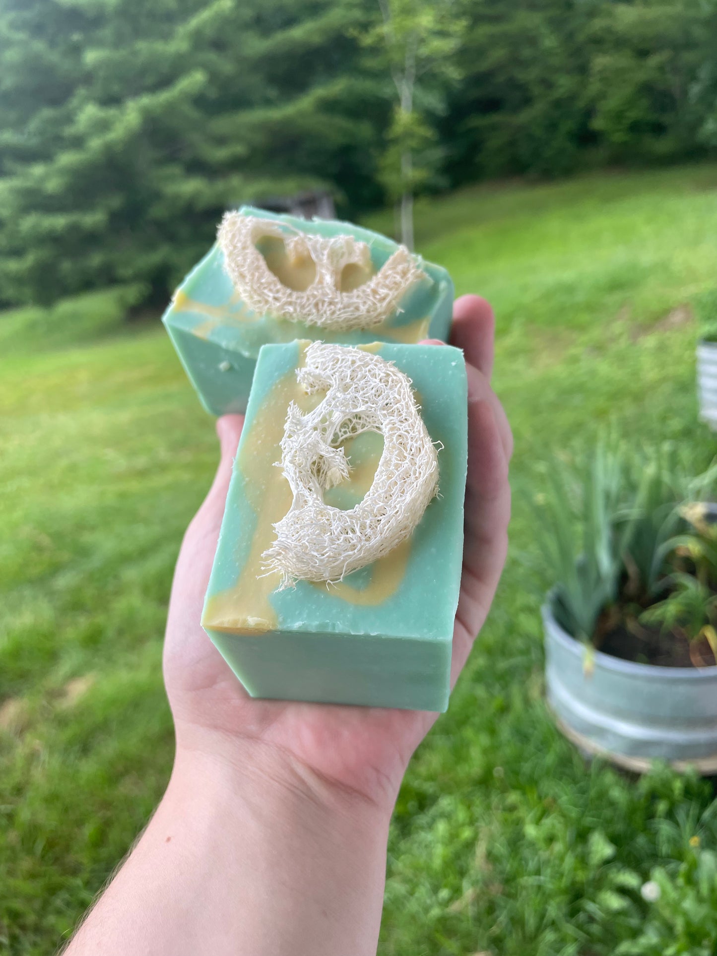 Eucalyptus Lemon Goat Milk Soap